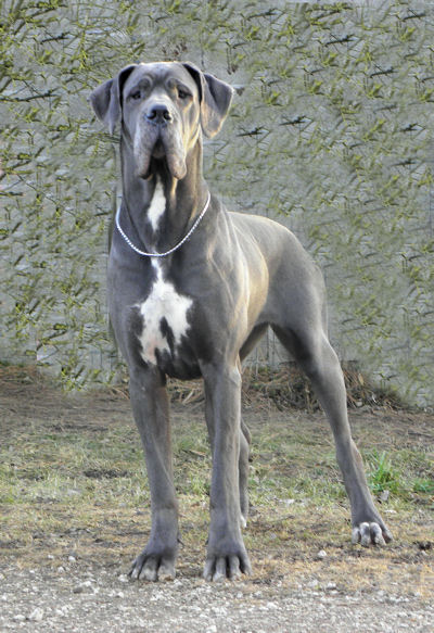Fergie du Sanctuaire d'Umabel